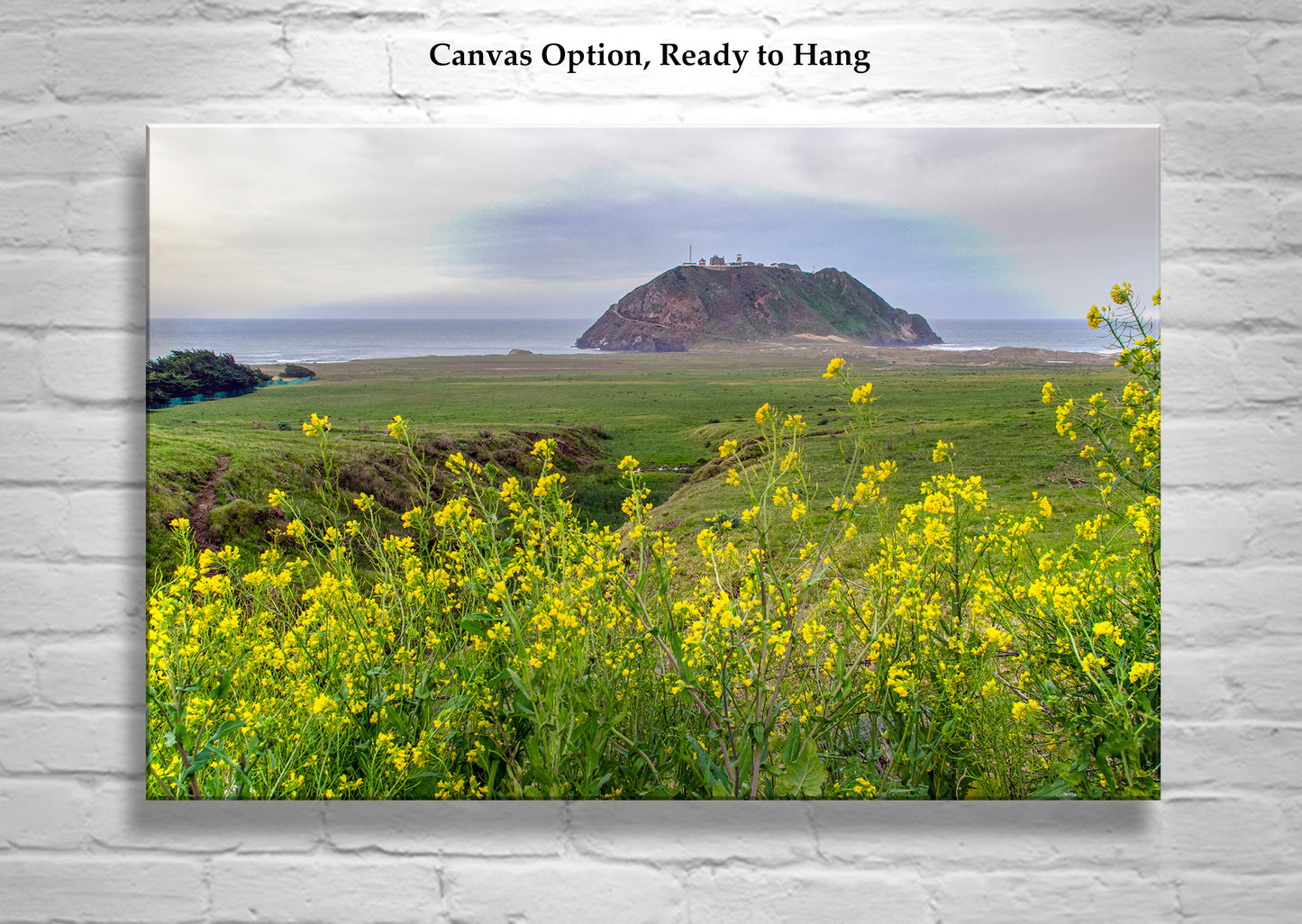 Point Sur Light Station State Park California Art Print