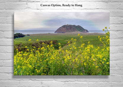 Point Sur Light Station State Park California Art Print