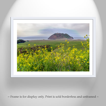 Point Sur Light Station State Park California Art Print