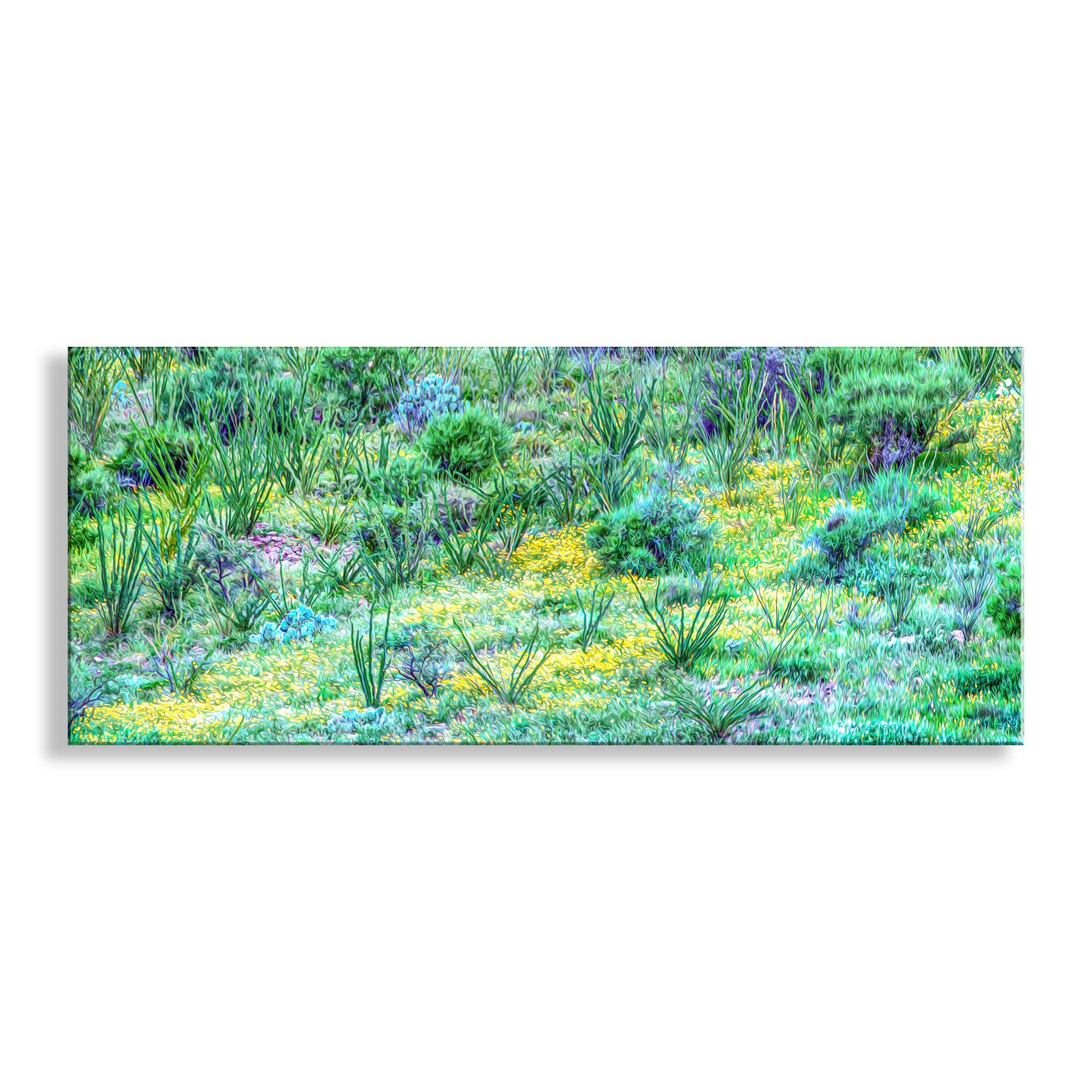 Panoramic view of a vibrant desert landscape with green shrubs and yellow flowers on a white background. Desert Wildflower Landscape Panorama | Southern Arizona Art