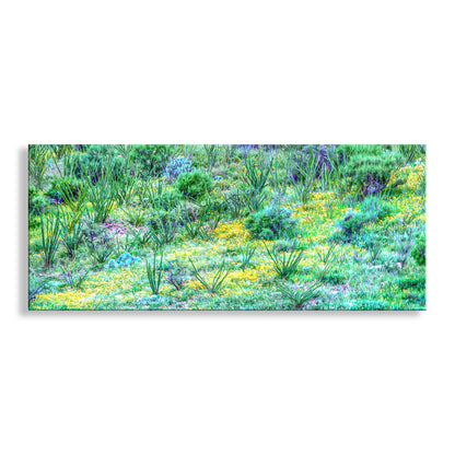 Panoramic view of a vibrant desert landscape with green shrubs and yellow flowers on a white background. Desert Wildflower Landscape Panorama | Southern Arizona Art