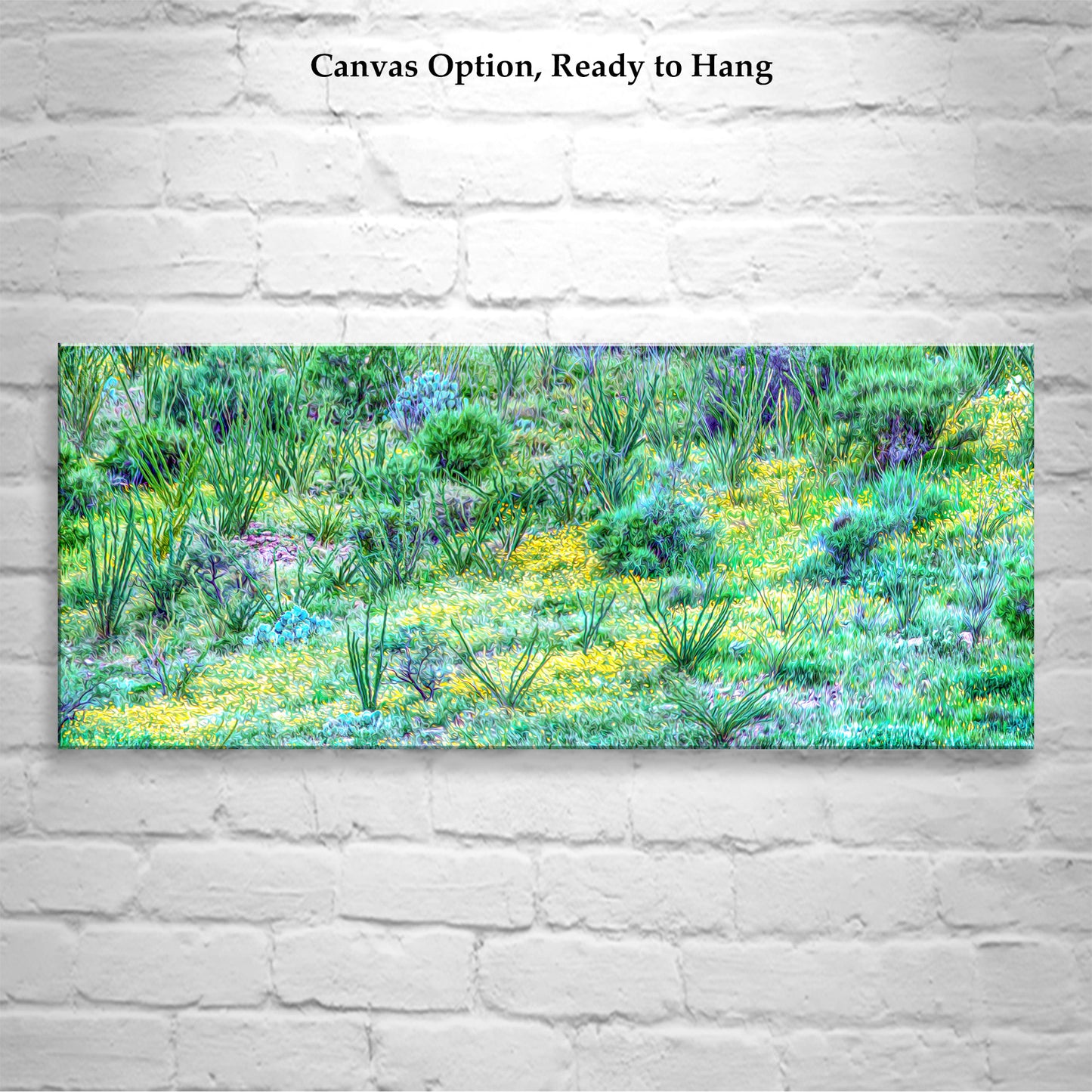 Desert Wildflower Panorama | Southern Arizona Landscape Art