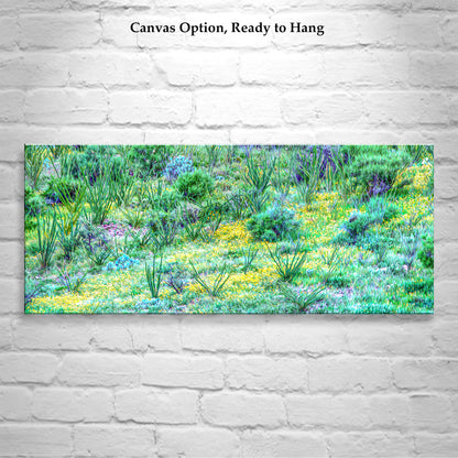 Desert Wildflower Panorama | Southern Arizona Landscape Art