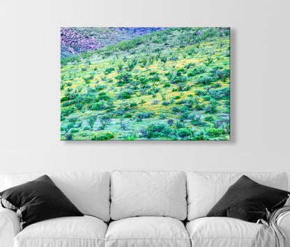 Desert Wildflower Landscape Photograph as Wall Decor
