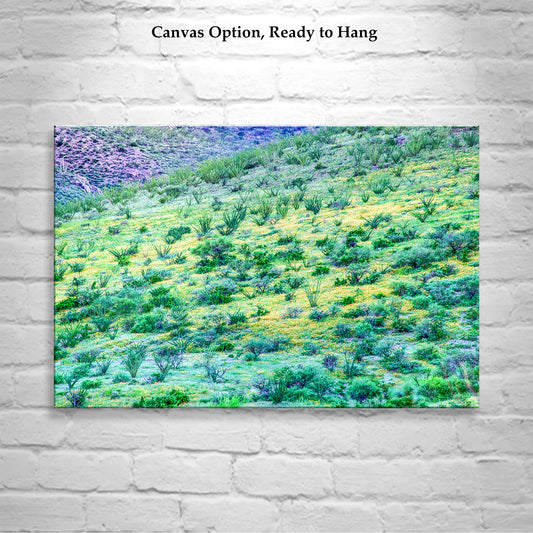 Desert Wildflower Landscape Photograph as Wall Decor