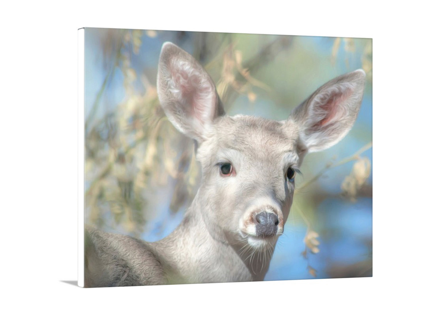 My wonderful wild deer picture for your walls! Here, an endearing deer peers at me with nonchalance in Madera Canyon of the Santa Ritas, borderlands Arizona, planet Earth! Original, unique signed art by Murray Bolesta.