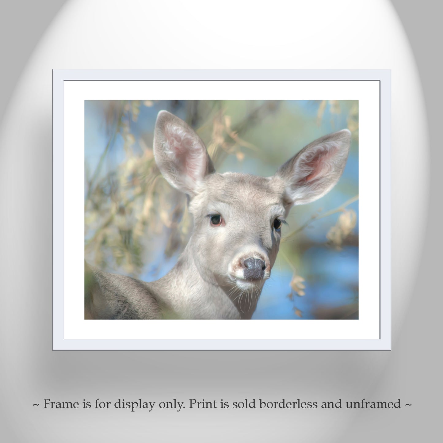 Deer Photograph as Cute Animal Art in Southern Arizona for Animal Lover