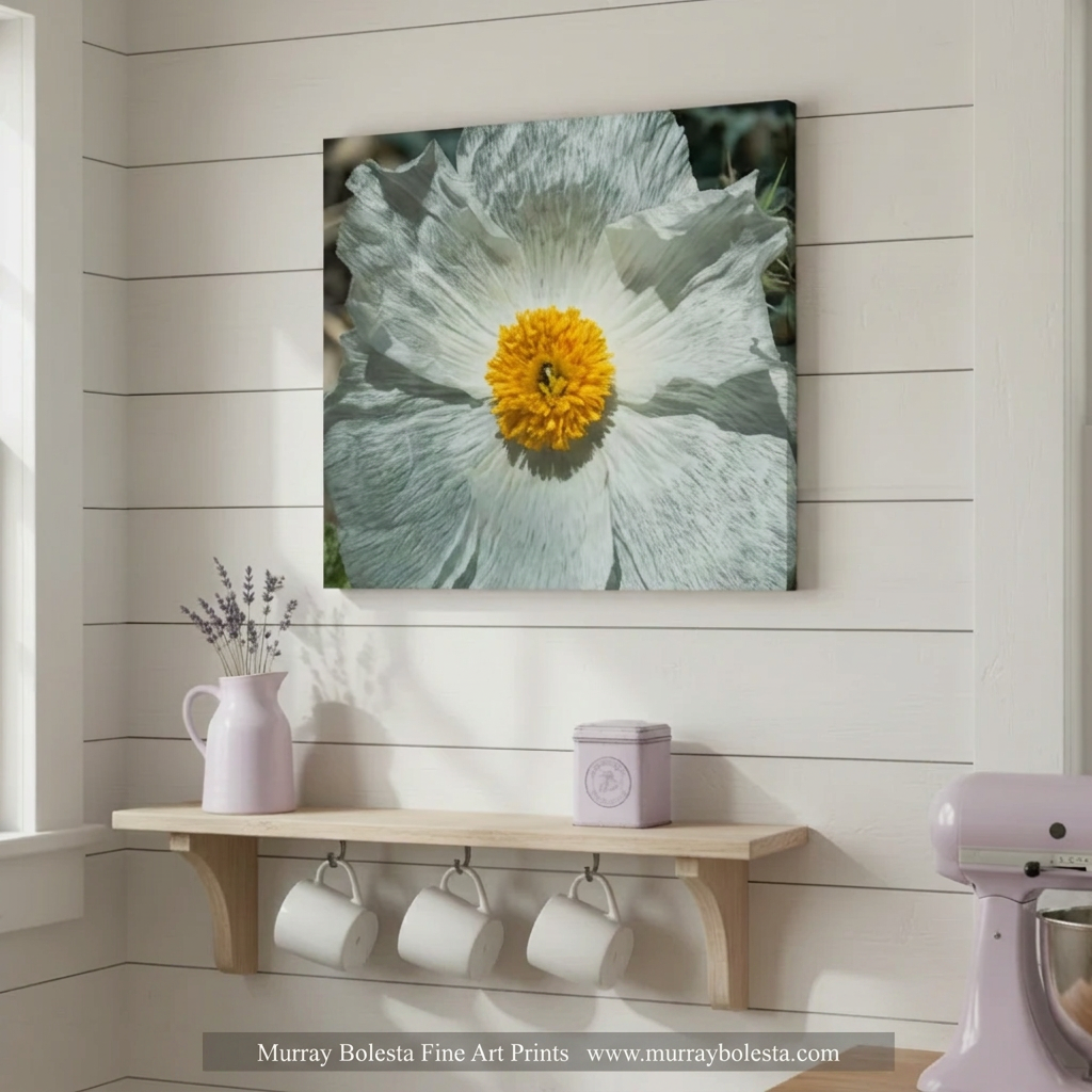 A square wall art print showing a close-up of a pale blue-gray flower with a bright yellow center, displayed above a light wood shelf in a white shiplap wall setting. The text overlay at the bottom reads 'Murray Bolesta Fine Art Prints' and 'www.