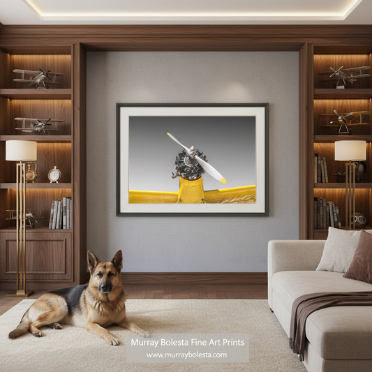 Vintage Crop Duster Art | Black and White Aviation Print