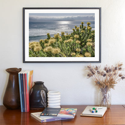 Encinitas San Diego Southern California Art Print with Coastal Flowers