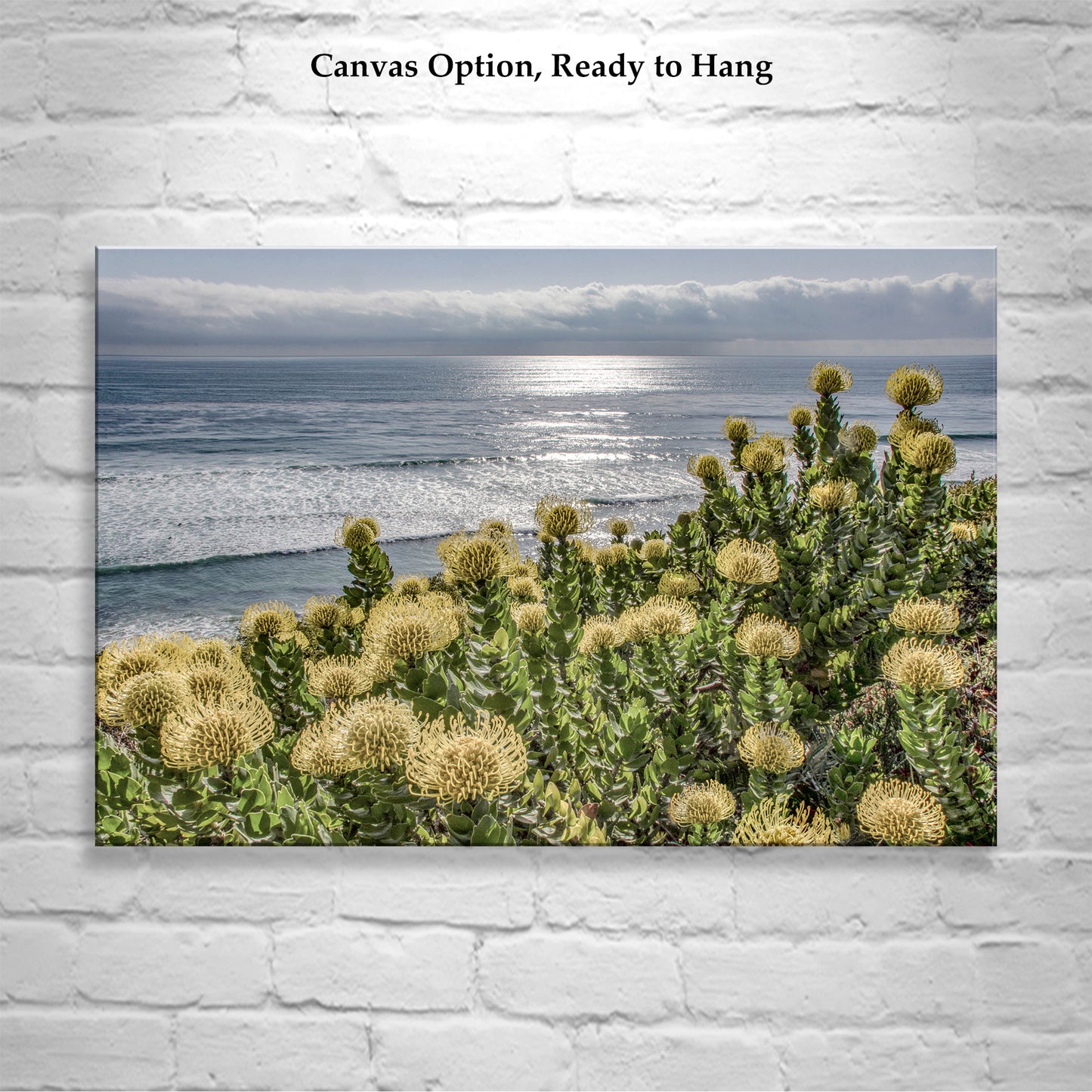 Encinitas San Diego Southern California Art Print with Coastal Flowers