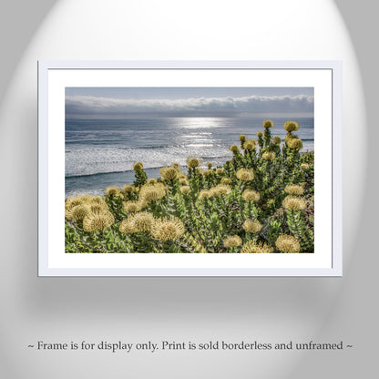 Encinitas San Diego Southern California Art Print with Coastal Flowers