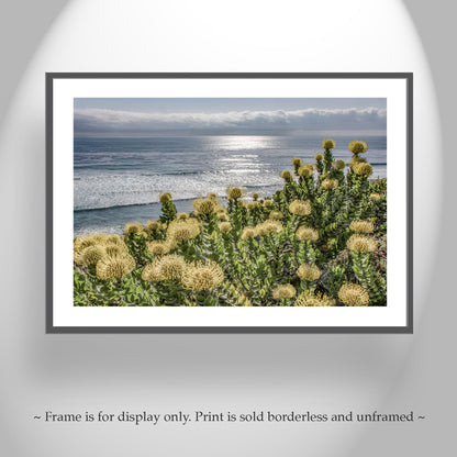 Encinitas San Diego Southern California Art Print with Coastal Flowers