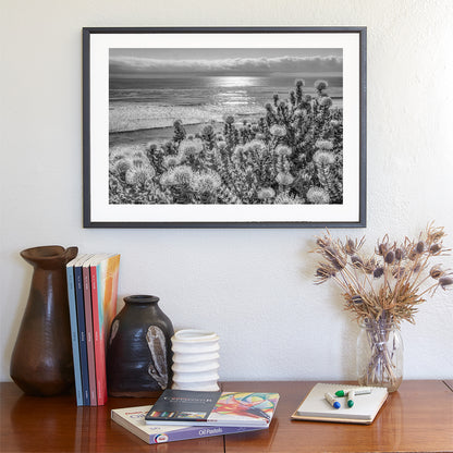 Encinitas California Ocean Art in Black & White with Protea Flowers