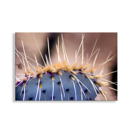 Blue Prickly Pear Cactus Photograph as Desert Botanical Artwork