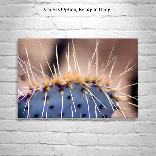 Blue Prickly Pear Cactus Photograph as Desert Botanical Artwork