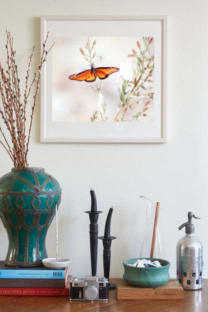 Queen Butterfly Print in Pastel | Arizona Insect Art | Minimalist Nature Wall Decor