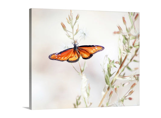 Butterfly perched on a branch with a soft, blurred background. Queen Butterfly Print in Pastel | Arizona Insect Art | Minimalist Nature Wall Decor