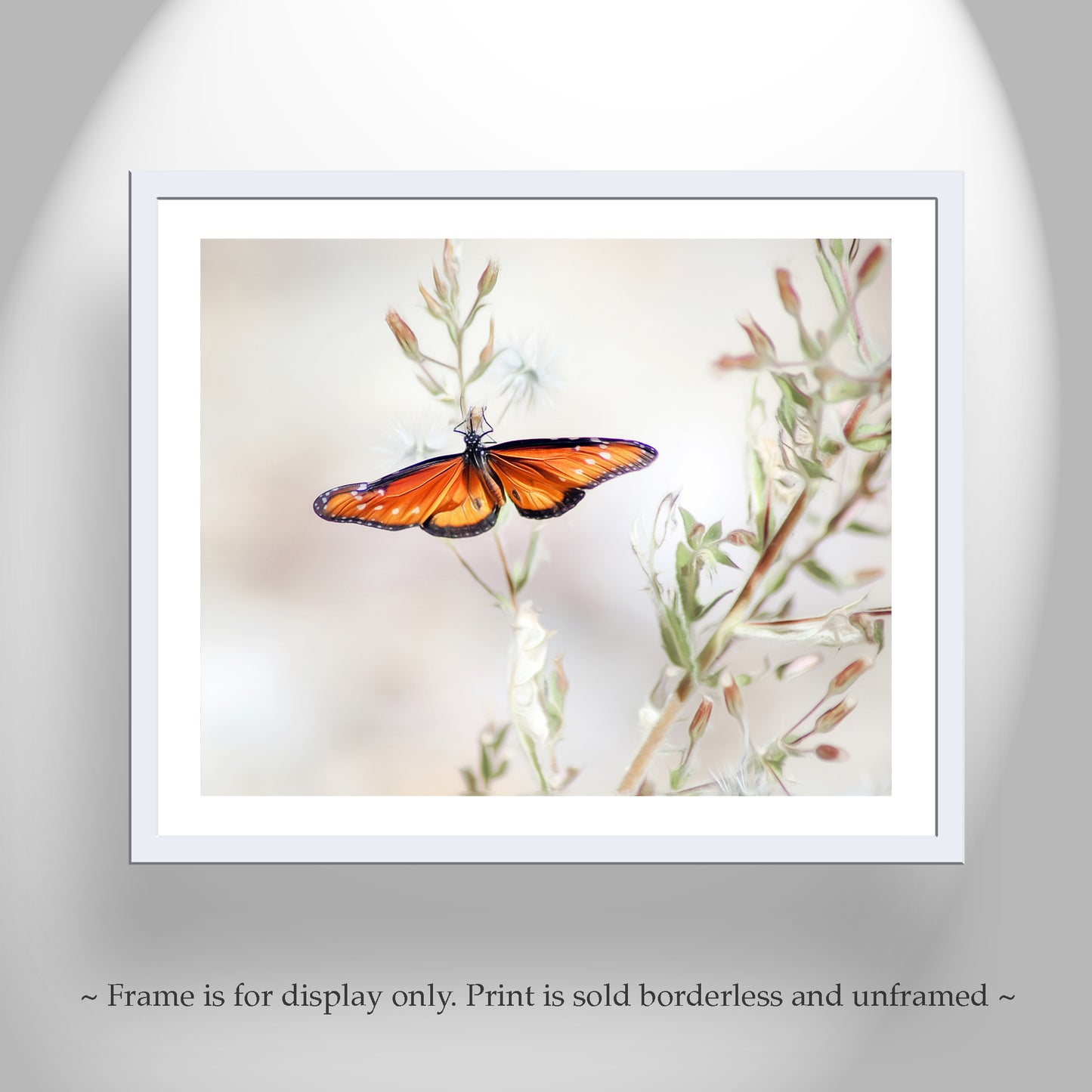 Queen Butterfly Print in Pastel | Arizona Insect Art | Minimalist Nature Wall Decor