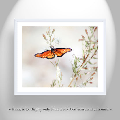 Queen Butterfly Print in Pastel | Arizona Insect Art | Minimalist Nature Wall Decor