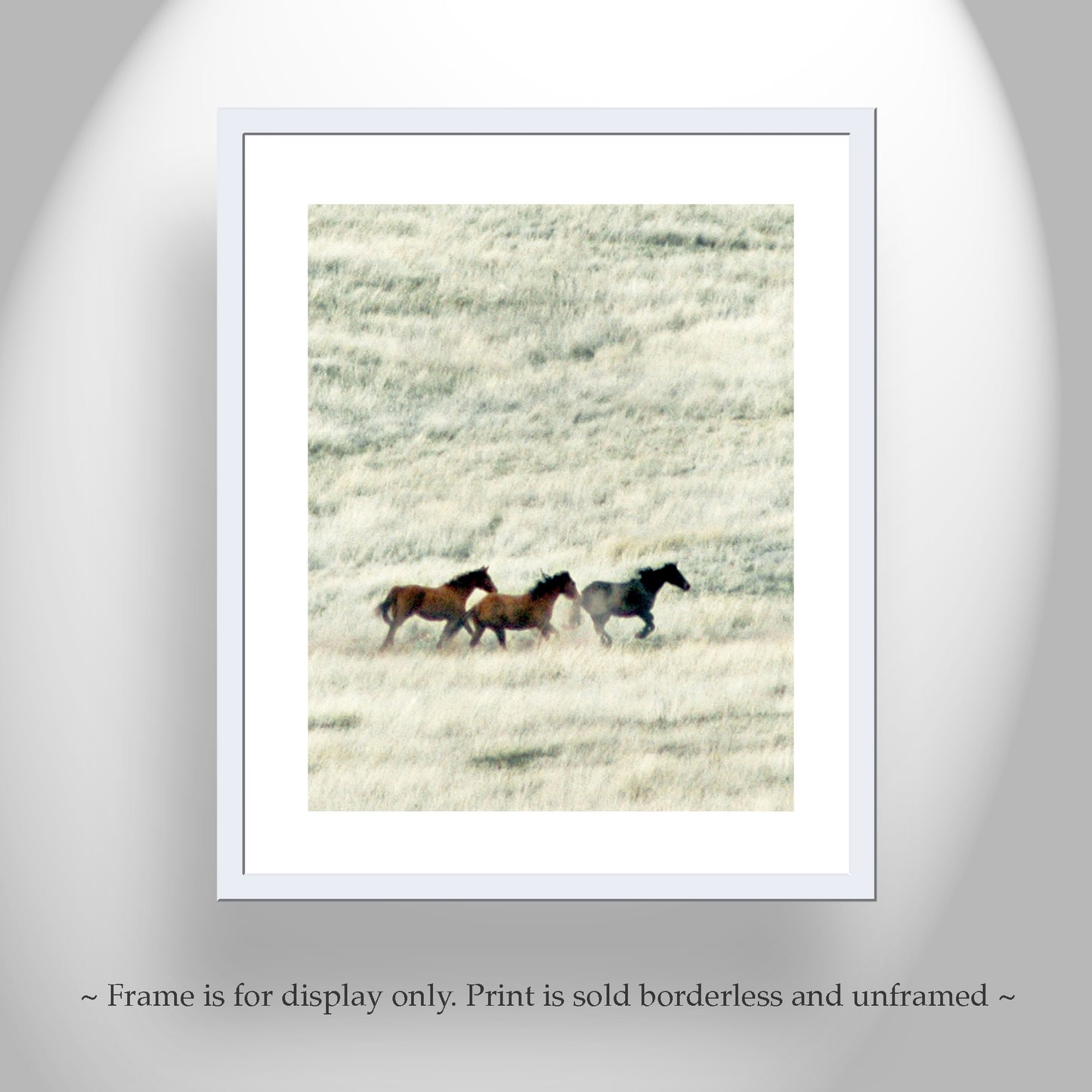 Horse Art | San Rafael Valley Arizona Ranch Prairie Grasslands Landscape