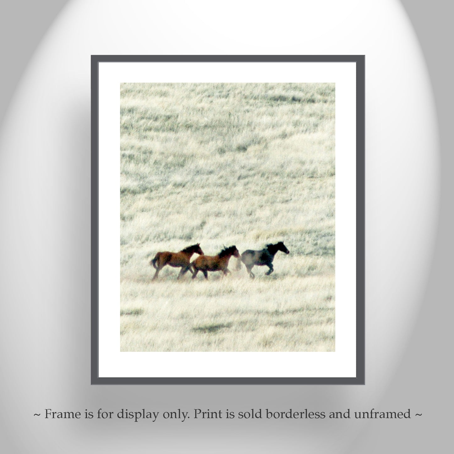 Horse Art | San Rafael Valley Arizona Ranch Prairie Grasslands Landscape
