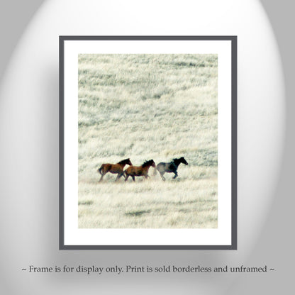 Horse Art | San Rafael Valley Arizona Ranch Prairie Grasslands Landscape