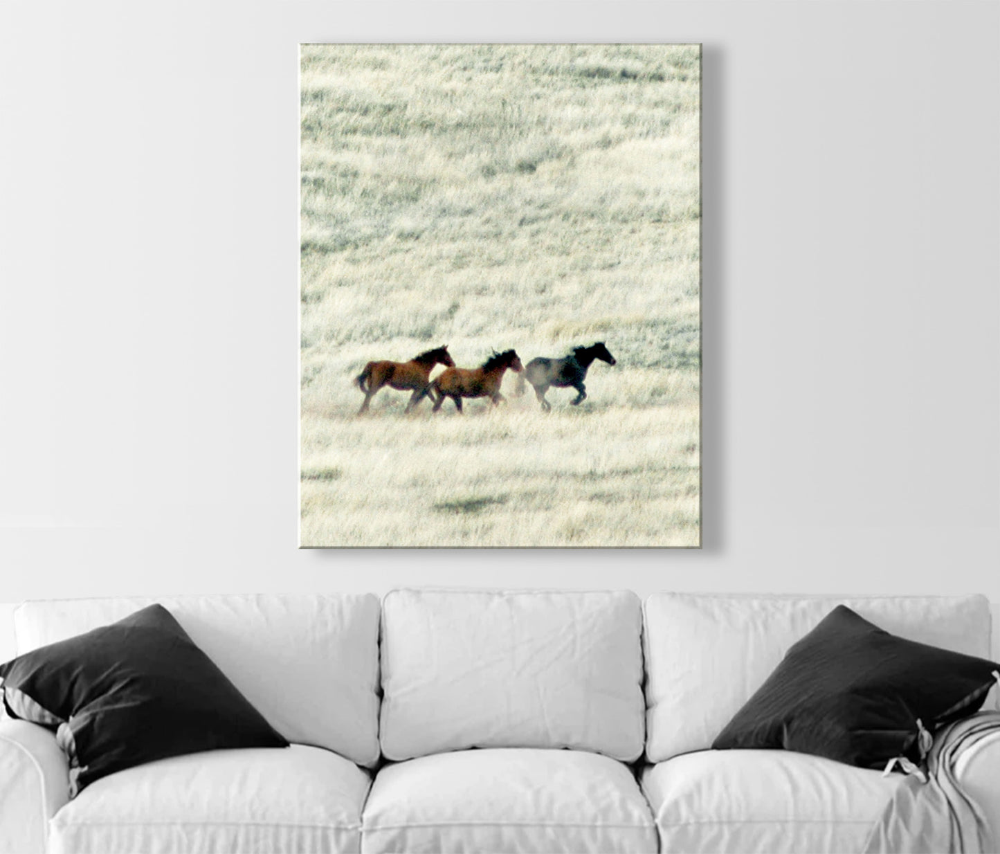 Horse Art | San Rafael Valley Arizona Ranch Prairie Grasslands Landscape