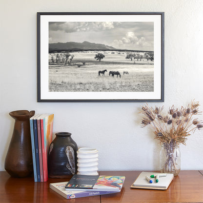 Horse Ranch Landscape Photography at Arizona-Mexico Border