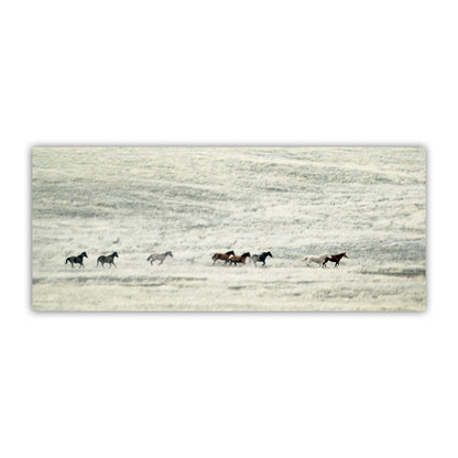 Horses running across a field with a white background. Wild Horse Panoramic Art Print with Arizona Grassland Landscape