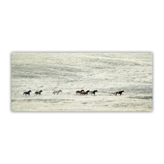 Horses running across a field with a white background. Wild Horse Panoramic Art Print with Arizona Grassland Landscape