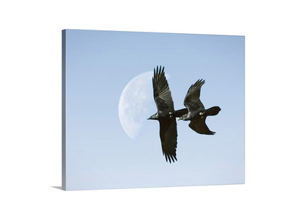 Flying Raven Artwork with Moon as Arizona Bird Wall Decor