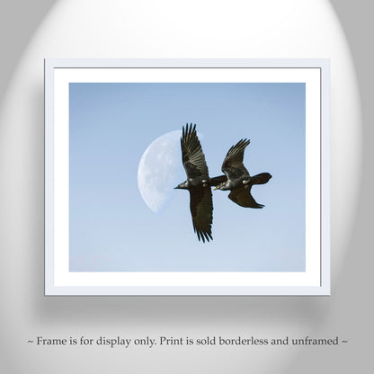 Flying Raven Artwork with Moon as Arizona Bird Wall Decor