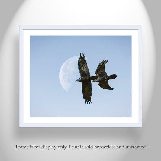Flying Raven Artwork with Moon as Arizona Bird Wall Decor