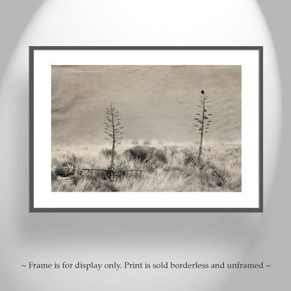 Fine Art Surreal Raven Bird Art with Southwestern Century Plant Agave
