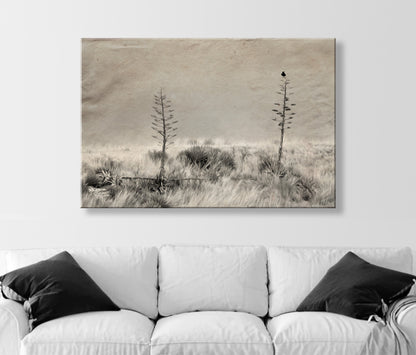 Fine Art Surreal Raven Bird Art with Southwestern Century Plant Agave