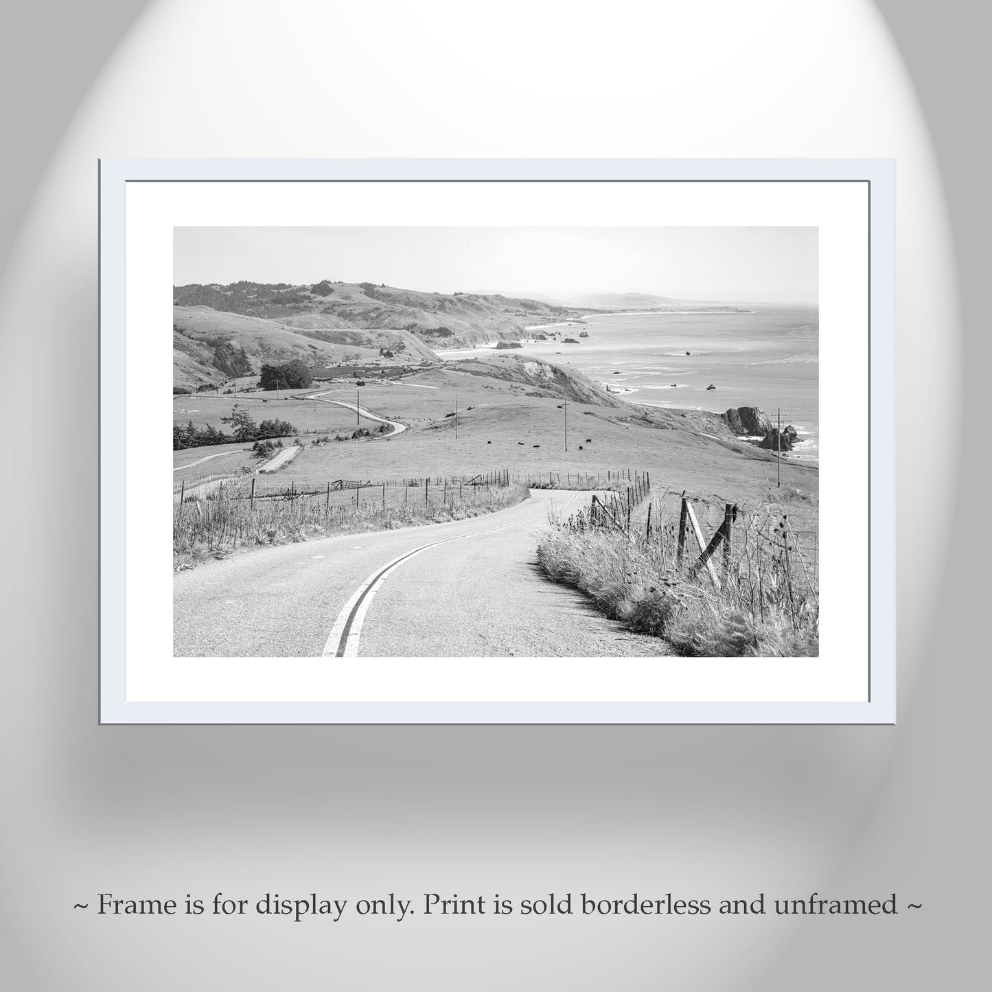 Black and White Mendocino Coast Sonoma Coast Bodega Bay Photograph
