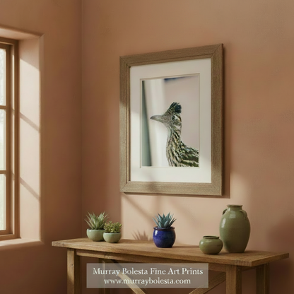 Tucson Roadrunner Bird Picture - Desert Bird Wall Decor Print