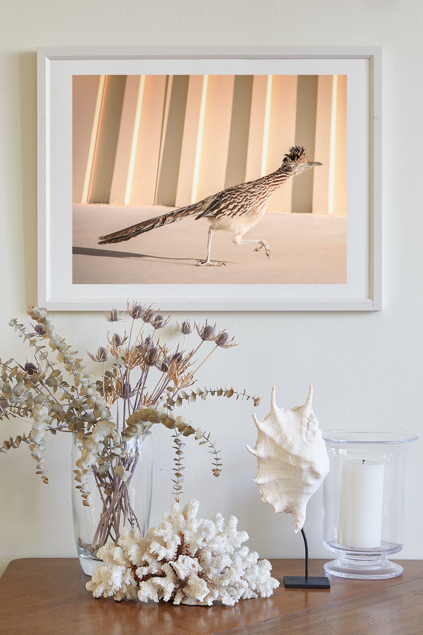 Roadrunner Bird Art Print by Murray Bolesta in Tucson Arizona