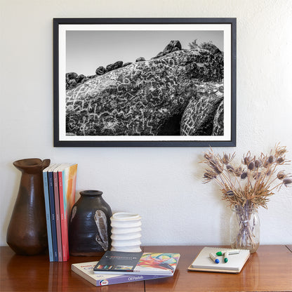 American Indian Petroglyph Fine Art Print | Arizona Desert