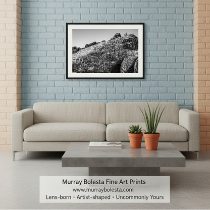 A framed black and white landscape photograph of rocky terrain is displayed on a blue brick wall above a light beige sofa in a modern living room setting. A white banner at the bottom reads 'Murray Bolesta Fine Art Prints' with the website and tagline.