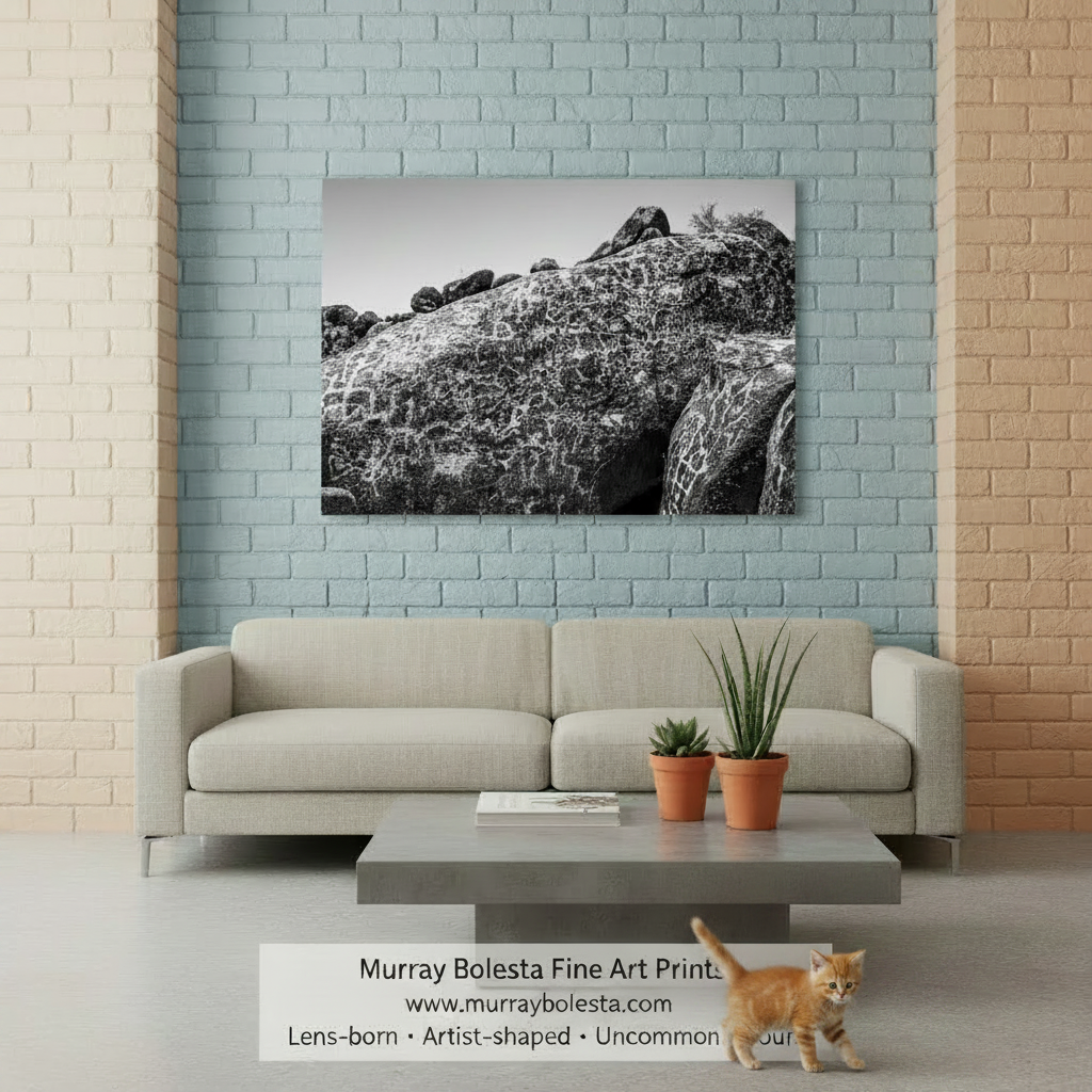 A black and white fine art print of a textured rock formation, displayed on a light blue brick wall above a modern beige sofa in a styled living room setting. By Murray Bolesta