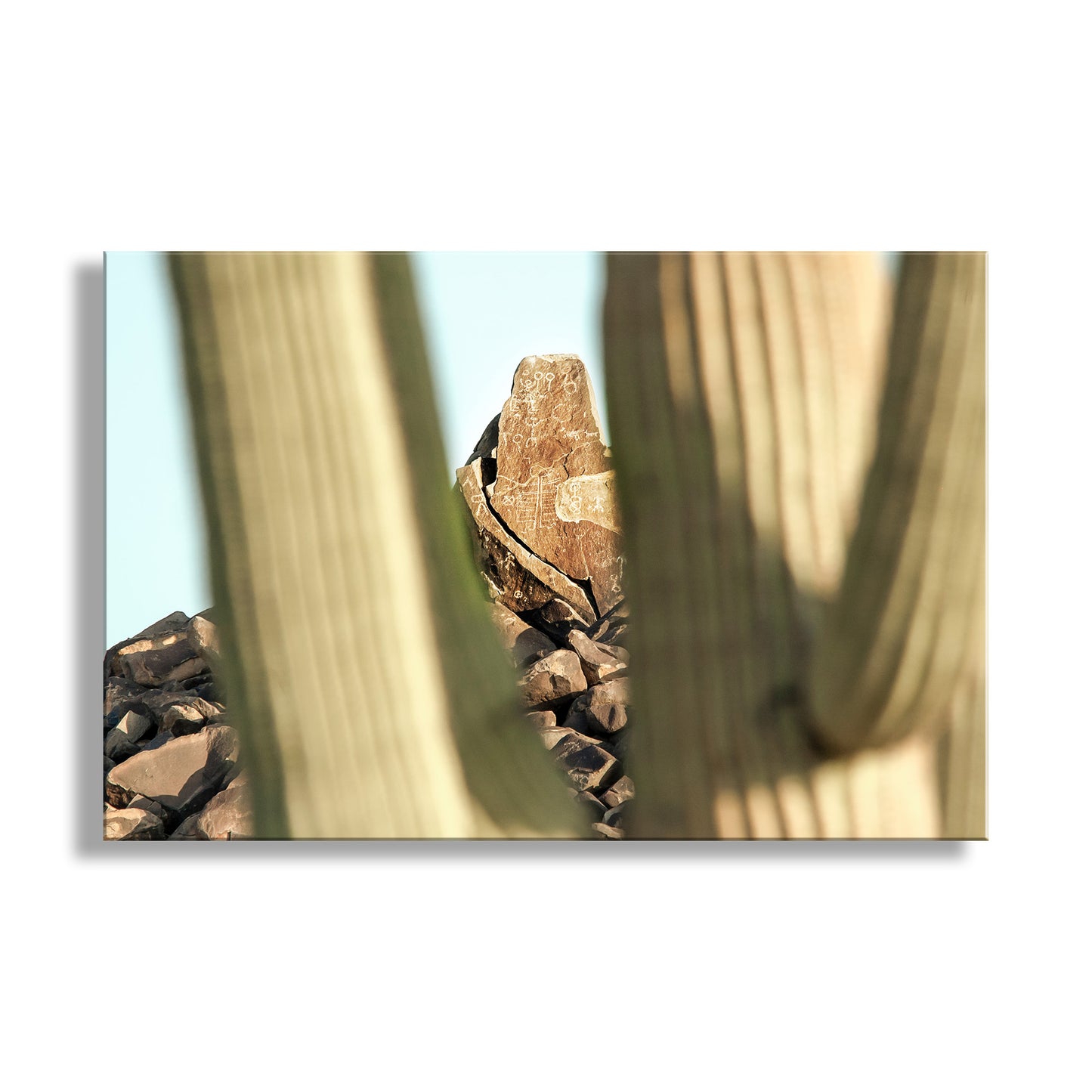 Native American Petroglyphs & Saguaro Cactus Arizona Art Print