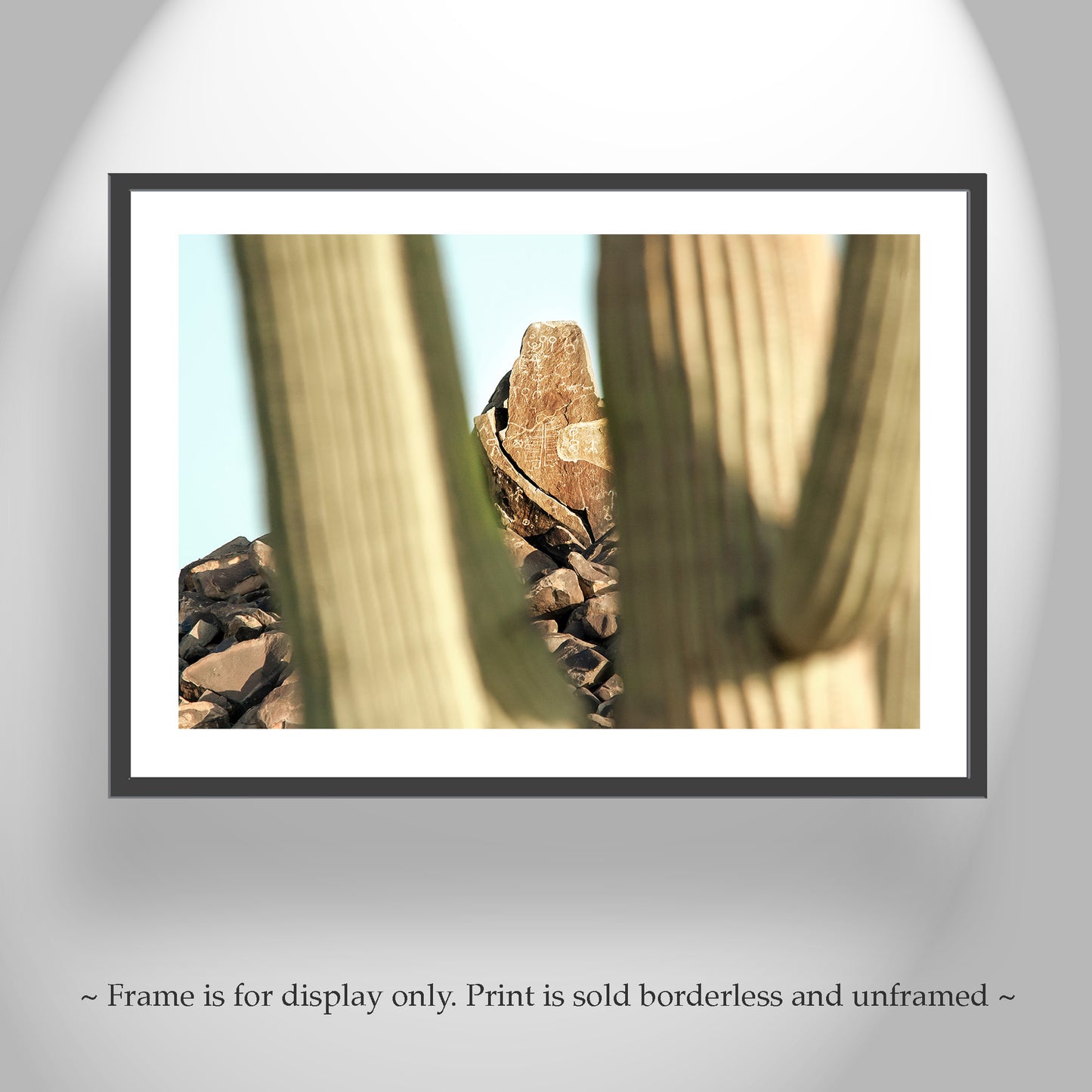 Native American Petroglyphs & Saguaro Cactus Arizona Art Print