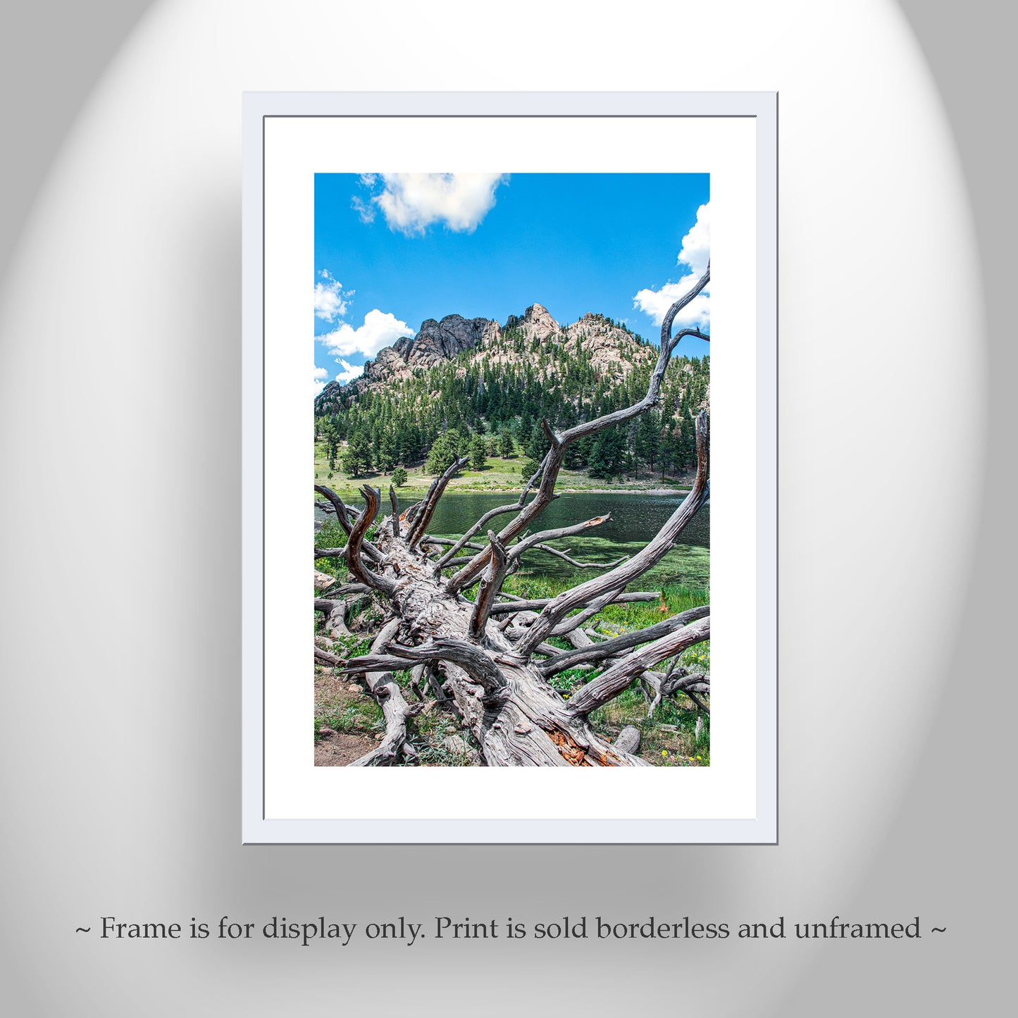 Lily Lake Colorado Rocky Mountain Landscape Art Print