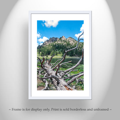 Lily Lake Colorado Rocky Mountain Landscape Art Print