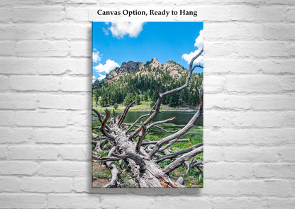 Lily Lake Colorado Rocky Mountain Landscape Art Print