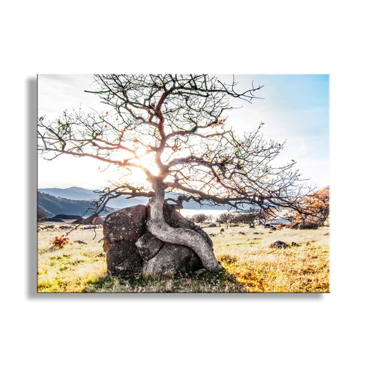 Ashland Oregon Rogue Valley Nature Photography Wall Art Print