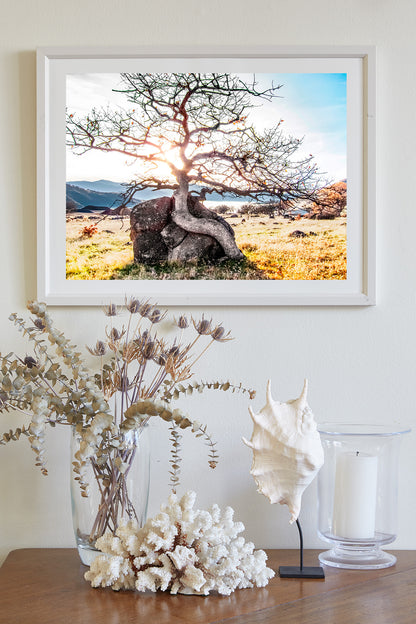 Ashland Oregon Rogue Valley Nature Photography Wall Art Print