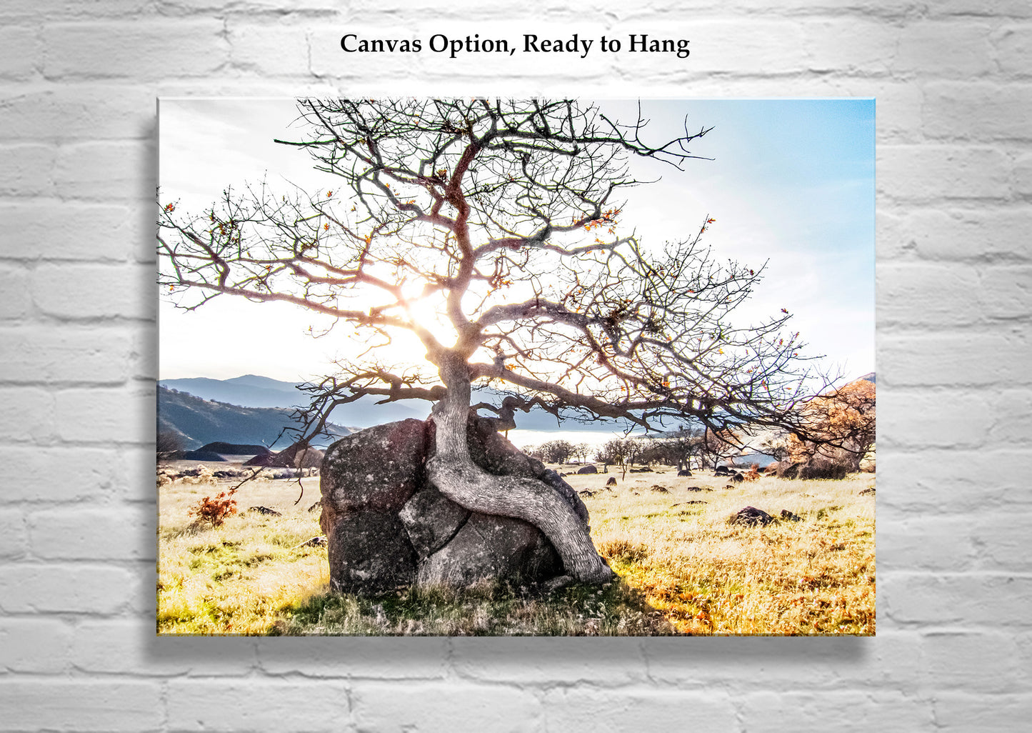 Ashland Oregon Rogue Valley Nature Photography Wall Art Print